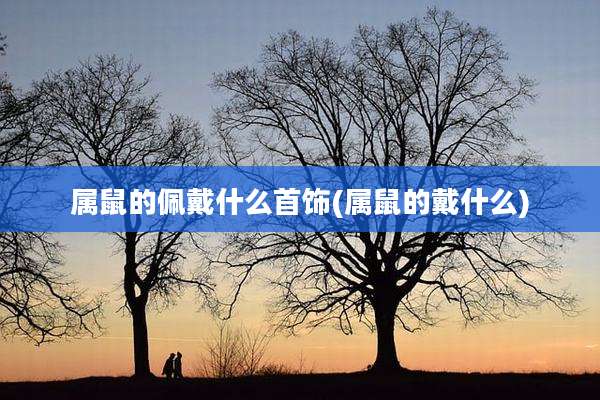 属鼠的佩戴什么首饰(属鼠的戴什么)