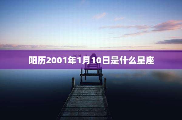 阳历2001年1月10日是什么星座