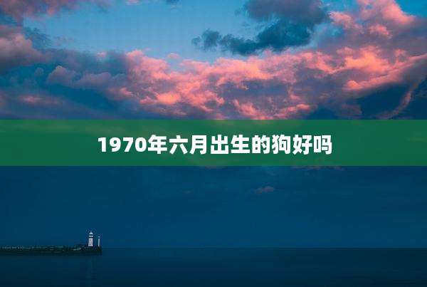 1970年六月出生的狗好吗