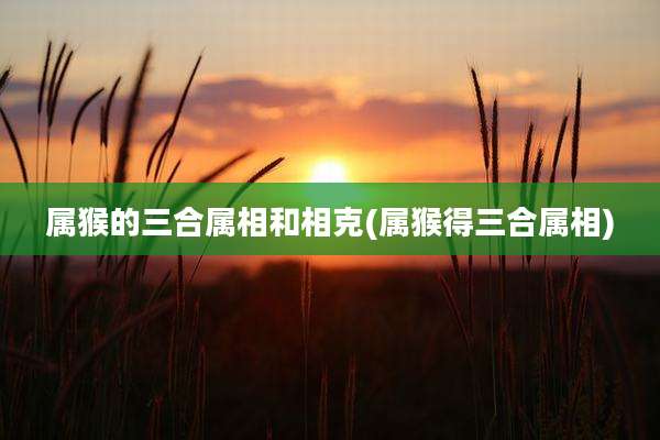 属猴的三合属相和相克(属猴得三合属相)