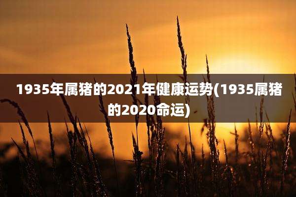 1935年属猪的2021年健康运势(1935属猪的2020命运)