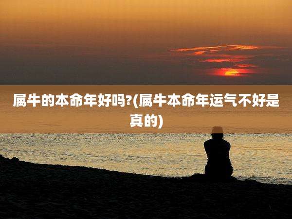 属牛的本命年好吗?(属牛本命年运气不好是真的)