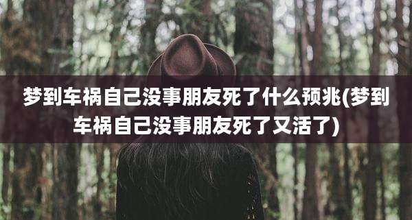 梦到车祸自己没事朋友死了什么预兆(梦到车祸自己没事朋友死了又活了)