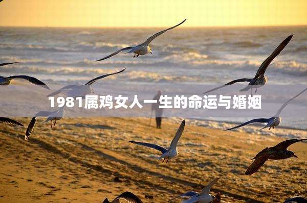 1981属鸡女人一生的命运与婚姻
