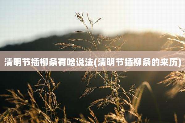 清明节插柳条有啥说法(清明节插柳条的来历)
