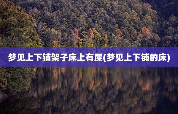 梦见上下铺架子床上有屎(梦见上下铺的床)