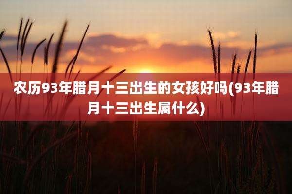 农历93年腊月十三出生的女孩好吗(93年腊月十三出生属什么)