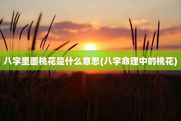 八字里面桃花是什么意思(八字命理中的桃花)