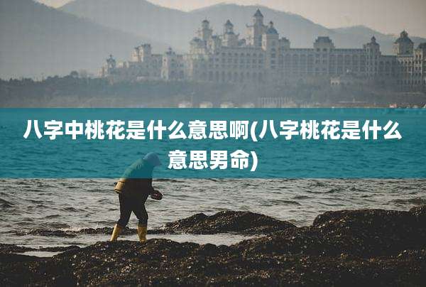 八字中桃花是什么意思啊(八字桃花是什么意思男命)