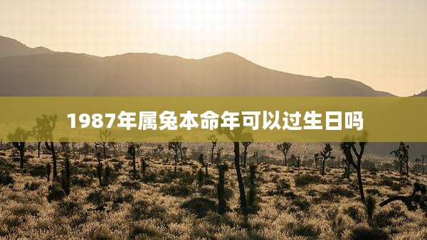 1987年属兔本命年可以过生日吗