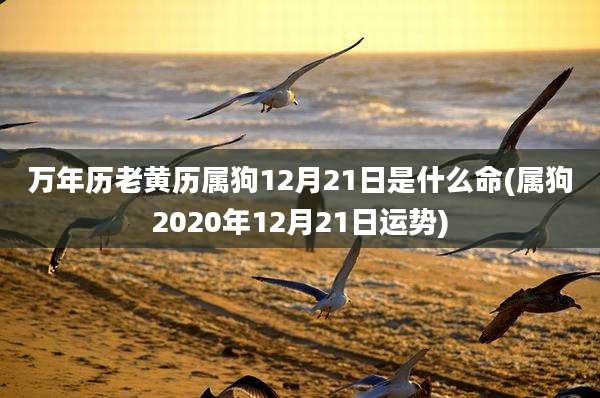万年历老黄历属狗12月21日是什么命(属狗2020年12月21日运势)