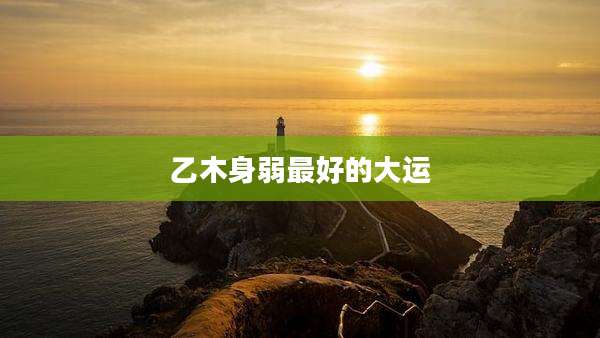 乙木身弱最好的大运