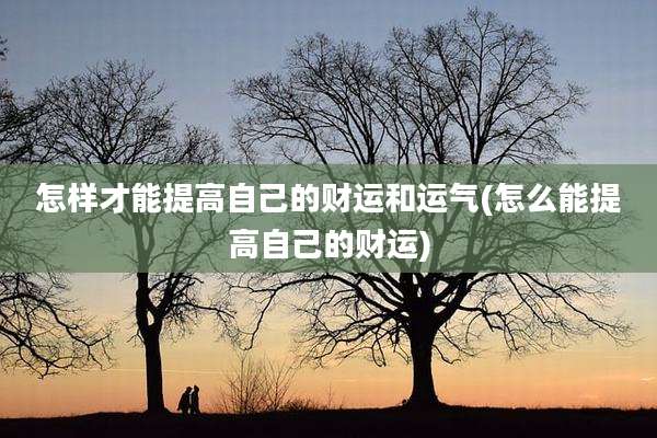 怎样才能提高自己的财运和运气(怎么能提高自己的财运)