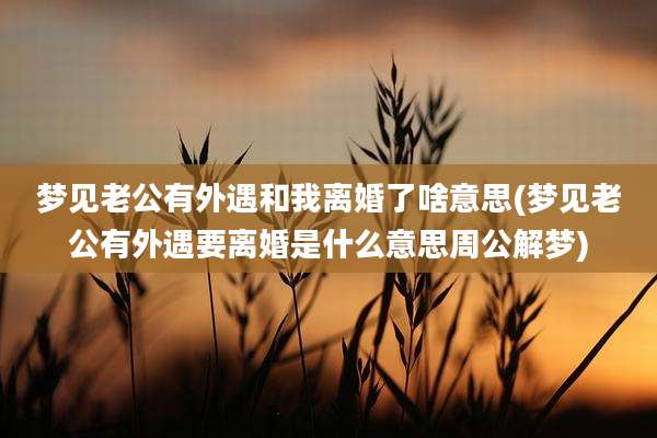 梦见老公有外遇和我离婚了啥意思(梦见老公有外遇要离婚是什么意思周公解梦)