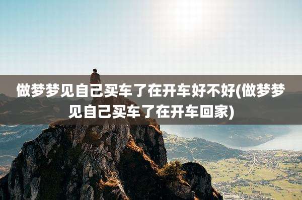 做梦梦见自己买车了在开车好不好(做梦梦见自己买车了在开车回家)