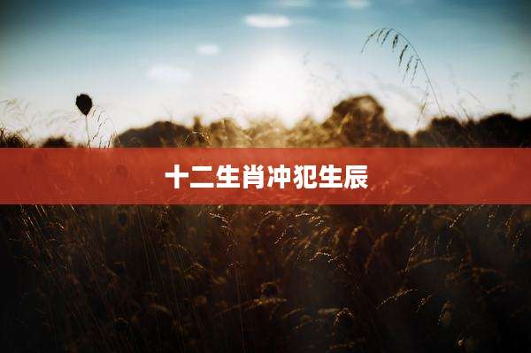 十二生肖冲犯生辰