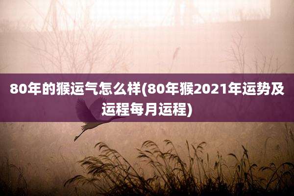 80年的猴运气怎么样(80年猴2021年运势及运程每月运程)