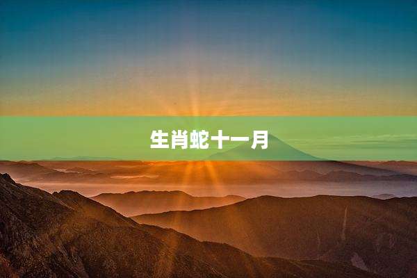 生肖蛇十一月
