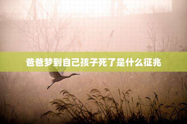 爸爸梦到自己孩子死了是什么征兆
