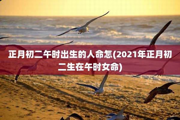 正月初二午时出生的人命怎(2021年正月初二生在午时女命)
