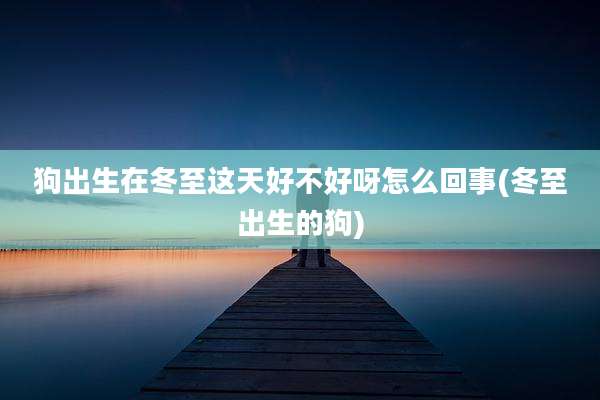 狗出生在冬至这天好不好呀怎么回事(冬至出生的狗)