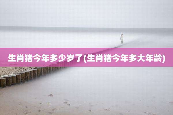 生肖猪今年多少岁了(生肖猪今年多大年龄)