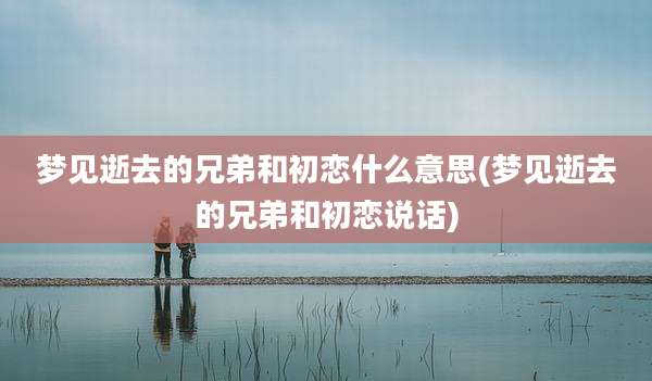 梦见逝去的兄弟和初恋什么意思(梦见逝去的兄弟和初恋说话)