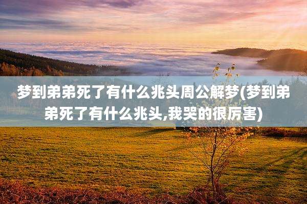 梦到弟弟死了有什么兆头周公解梦(梦到弟弟死了有什么兆头,我哭的很厉害)