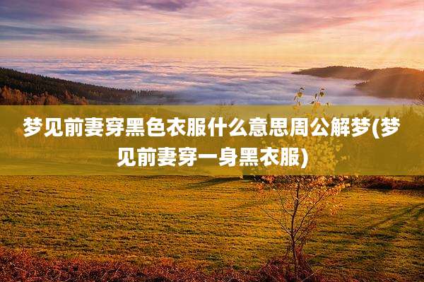 梦见前妻穿黑色衣服什么意思周公解梦(梦见前妻穿一身黑衣服)