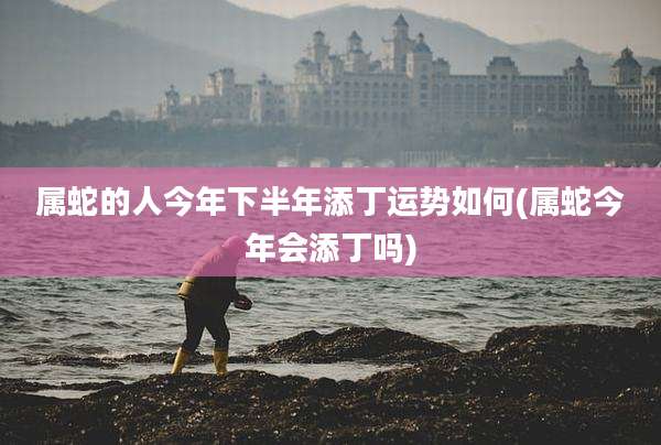 属蛇的人今年下半年添丁运势如何(属蛇今年会添丁吗)