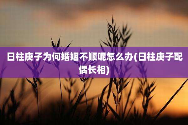 日柱庚子为何婚姻不顺呢怎么办(日柱庚子配偶长相)