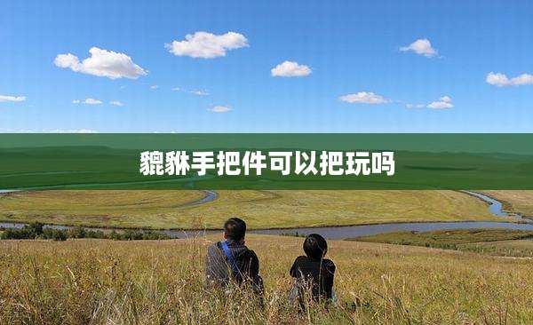 貔貅手把件可以把玩吗