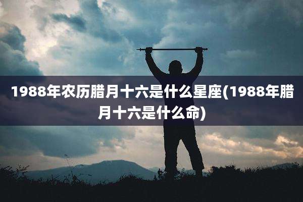 1988年农历腊月十六是什么星座(1988年腊月十六是什么命)