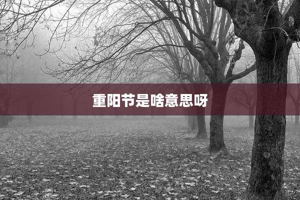 重阳节是啥意思呀