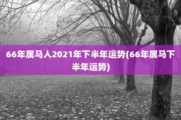 66年属马人2021年下半年运势(66年属马下半年运势)