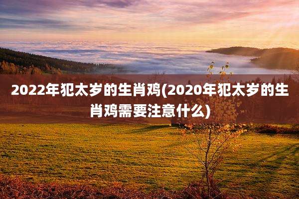 2022年犯太岁的生肖鸡(2020年犯太岁的生肖鸡需要注意什么)