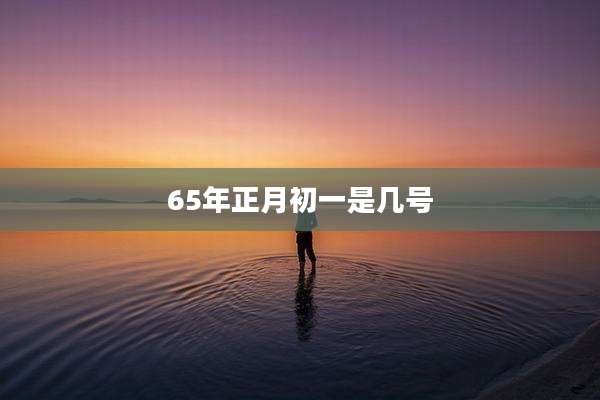 65年正月初一是几号