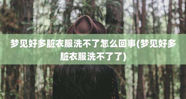 梦见好多脏衣服洗不了怎么回事(梦见好多脏衣服洗不了了)
