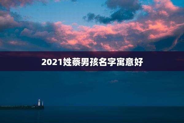 2021姓蔡男孩名字寓意好