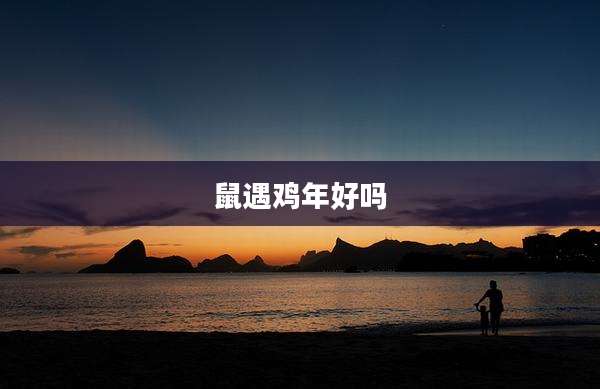鼠遇鸡年好吗