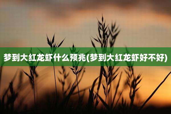 梦到大红龙虾什么预兆(梦到大红龙虾好不好)