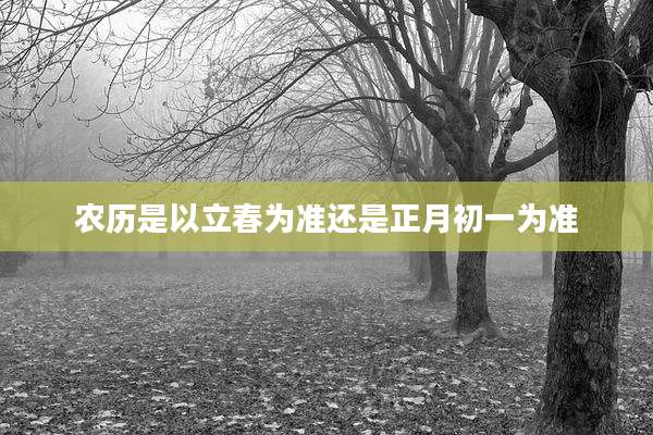 农历是以立春为准还是正月初一为准