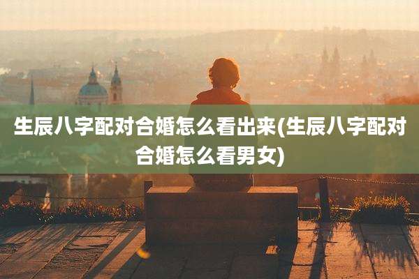 生辰八字配对合婚怎么看出来(生辰八字配对合婚怎么看男女)