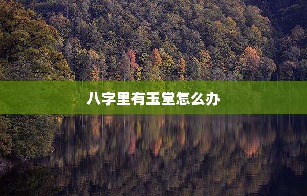 八字里有玉堂怎么办