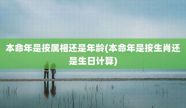 本命年是按属相还是年龄(本命年是按生肖还是生日计算)
