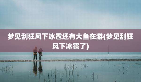 梦见刮狂风下冰雹还有大鱼在游(梦见刮狂风下冰雹了)