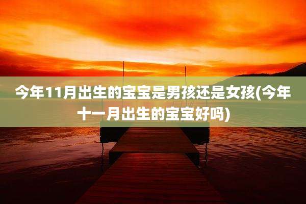 今年11月出生的宝宝是男孩还是女孩(今年十一月出生的宝宝好吗)