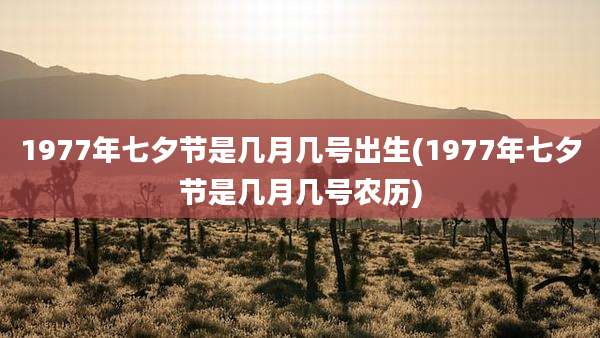 1977年七夕节是几月几号出生(1977年七夕节是几月几号农历)