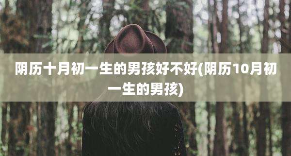 阴历十月初一生的男孩好不好(阴历10月初一生的男孩)