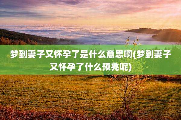 梦到妻子又怀孕了是什么意思啊(梦到妻子又怀孕了什么预兆呢)
